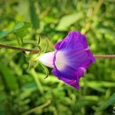 기배역사공원 이미지