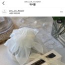 시루온플라워