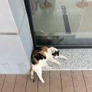 씨유 수성못점 | ‘그리고’ 없이 글을 매끄럽게 쓰는 방법