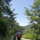 라온 - 서산시 율지3로 18 | 라온