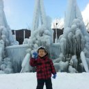 승민애견 이미지