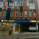 트윈스동물병원 이미지