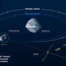 디디모스 이미지