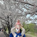 가구거리 햇님안마원 | 육아기록 | 5개월 아기와 함께한 3-4월 봄 벚꽃놀이 모음집 (신동카페거리)