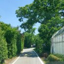 청주목장 이미지