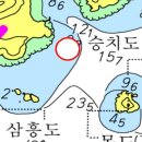 승치도 Daum백과