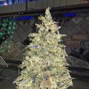 GS25 관악아미움점 | [공지] 서울 야경 관악구 겨울축제 데이트 코스 2025 관악 별빛산책 (feat. 고구마 붕어빵)