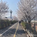 나주시청 자전거 대여소 | 자전거 타고 봄나들이 떠나자, 봄기운 가득 머금은 전국 자전거 길 [한국철도일보]