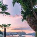 새둥지 | 통영 가볼만한곳 1971카페 디저트맛집 핑크빛 노을과 새둥지 인생샷 솔직후기