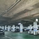 선일초등학교 건너편 이미지