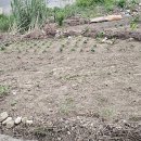 오천읍사무소 이미지