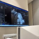 정성산부인과의원 | 임신 초기 와이프가 선택한 서브 산부인과 | [남편의 시선]