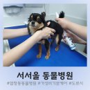 서서울동물병원 이미지