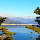 화천장뇌삼