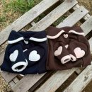 하트강아지 이미지