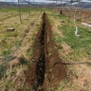 정비하다 이미지