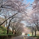 비토어촌체험휴양마을 이미지