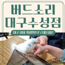 버드소리 대구수성점 이미지