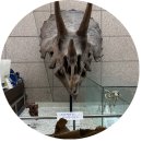 대가야박물관 야외화장실 | 대전 아이랑 무료 박물관 지질박물관 후기