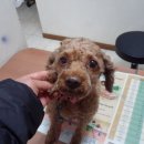 양천구청 이미지