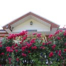 모운동펜션민박 이미지