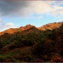 수산리-3 이미지