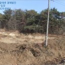 송동면 내사촌마을 이미지