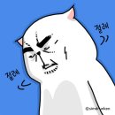 여수항장외과