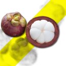 고씨네 농장 이미지