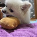 아지공간 이미지