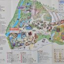 멍앤멍스 | 경주월드 오후권 티켓예매 드라켄, 스콜앤하티, 파에톤, 크라크 후기