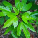 나무교역 이미지