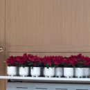 환경사업소_1F_소각장 | [인천환경미디어서포터즈] 2024년 서포터즈 활동 종료