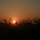 하늘공원 이미지