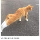 부개중앙 이미지