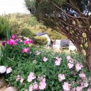 산들펜션 이미지