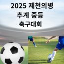 봉양건강축구캠프장 축구장 이미지