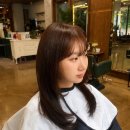 강남 커트 잘하는 미용실 추천 <라시옹 청담> 하린 디자이너매트브라운 + 레이어드컷 후기