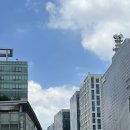 8월 첫째주 주간일기 #112 퍼펙트데이즈 💯