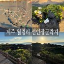 한림읍 월령리마을 | 월령리 선인장군락지 제주 서쪽 일몰 명소