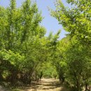 새소리농장 이미지