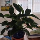 광수네펜션 이미지