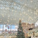 어느, 오후엔 | 코엑스 별마당도서관 크리스마스 트리 어느 정도길래? 토요일 오후 방문후기