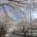 입곡군립공원(주차장옆) 네이버블로그