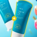 식물나라 이미지