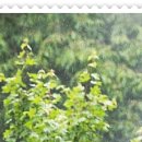 시흥은계한방병원 이미지