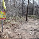 수.보리밥 이미지