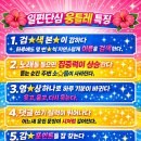💘 일편단심 팬들레 임영웅님 향한 일편뚝심 웅들레들은⁉️ 이미지
