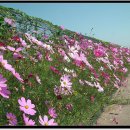 구리한강시민공원 이미지