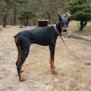 제우스농장 이미지